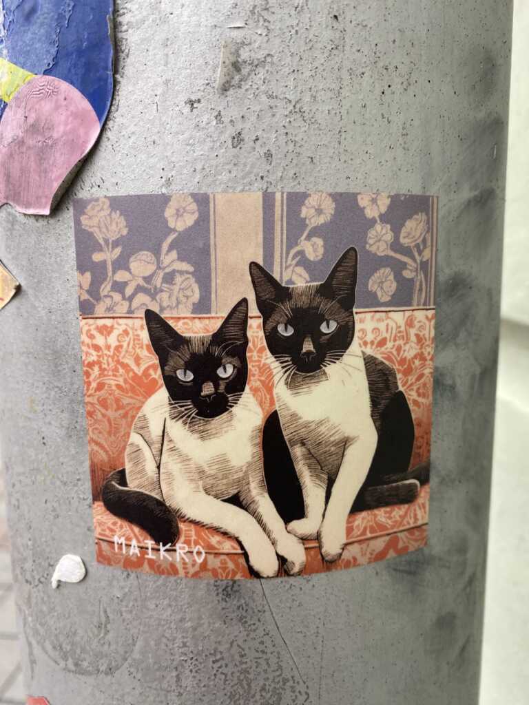 Üks mu lemmikuid leide Raekoja platsilt. Maikro kleeps, kus on kaks musta-valge kirjut kassi